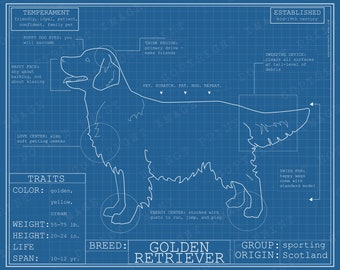 Dog Breed Blueprint Custom Pet Portrait Golden Retriever Poster Blue Print Canvas Wall Art Drawing Funny Portrait Print Animal Lover Gift