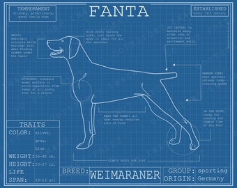 Weimaraner Dog Breed Blueprint - Custom Puppy Poster Blue Print Canvas Wall Art Pet Drawing Funny Portrait Print Animal Lover Gift