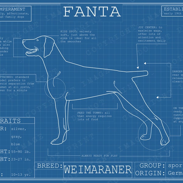 Weimaraner Dog Breed Blueprint - Custom Puppy Poster Blue Print Canvas Wall Art Pet Drawing Funny Portrait Print Animal Lover Gift