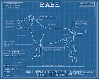 Dog Breed Blueprint Custom Pet Portrait Pit Bull Terrier Poster Blue Print Canvas Wall Art Drawing Funny Portrait Print Animal Lover Gift