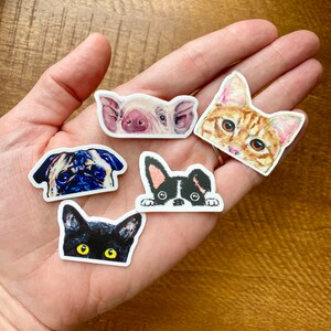 Orange Tabby Cat Peeking Sticker: Weatherproof Vinyl Die Cut - Etsy