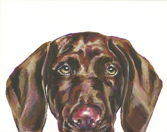 Peeking German Shorthaired Pointer Puppy Acrylic Painting 8x10 on stretched canvas - GSP - Colorful dog wall artwork - Pet Portrait Art