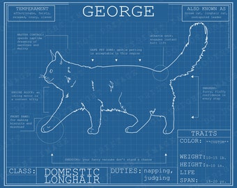 Cat Blueprint - Domestic Longhair Poster - Custom Pet Portrait Blue Print Canvas Wall Art Pet Drawing Funny Print DLH Kitty Lover Gift
