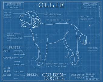 Goldendoodle Dog Breed Blueprint Custom Pet Portrait Puppy Poster Blue Print Canvas Wall Art Pet Drawing Funny Portrait Print Golden Doodle