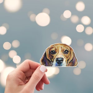 Peeking Beagle Sticker - Die Cut Vinyl, Weather Proof, Water Resistant, Hound Dog Face Peeking Over Edge Puppy Sticker