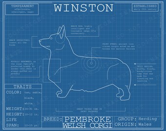 Dog Breed Blueprint Custom Pet Portrait Pembroke Welsh Corgi Poster Blue Print Canvas Wall Art Drawing Funny Print Animal Lover Gift