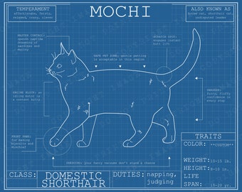 Cat Blueprint Custom Pet Portrait Domestic Shorthair Poster Blue Print Canvas Wall Art Pet Drawing Funny Portrait Print Animal Lover Gift