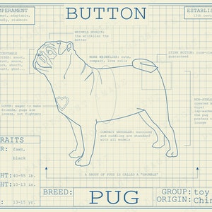 Pug Dog Breed Blueprint Custom Pet Portrait Poster Blue Print Canvas Wall Art Pet Drawing Funny Portrait Print Animal Lover Puggle Gift Cream