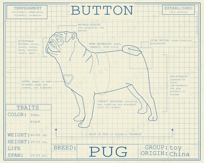 Pug Dog Breed Blueprint Custom Pet Portrait Poster Blue Print Canvas Wall Art Pet Drawing Funny Portrait Print Animal Lover Puggle Gift Cream