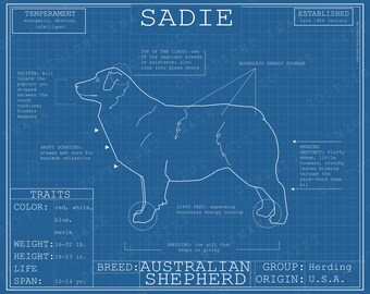 Dog Breed Blueprint Custom Pet Portrait Australian Shepherd Poster Blue Print Canvas Wall Art Drawing Funny Aussie Print Animal Lover Gift