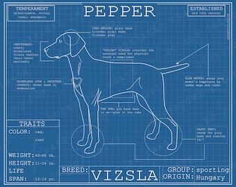 Vizsla Dog Breed Blueprint Custom Pet Portrait Poster Blue Print Canvas Wall Art Pet Drawing Funny Portrait Print Animal Viszla Lover Gift