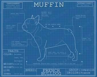 Dog Breed Blueprint Custom Pet Portrait French Bulldog Poster Blue Print Canvas Wall Art Pet Drawing Funny Portrait Print Animal Lover Gift