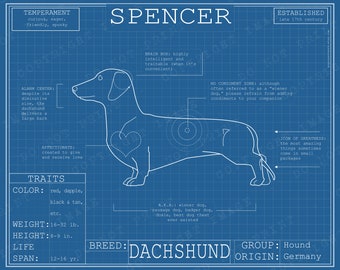 Dachshund Dog Breed Blueprint - Custom Wiener Dog Poster, Blue Print Canvas Wall Art Pet Drawing Funny Pet Portrait Print Animal Lover Gift