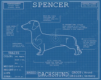 Dachshund Dog Breed Blueprint - Custom Wiener Dog Poster, Blue Print Canvas Wall Art Pet Drawing Funny Pet Portrait Print Animal Lover Gift