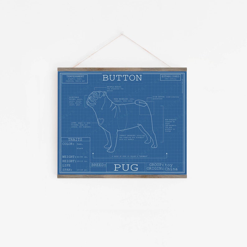 Pug Dog Breed Blueprint Custom Pet Portrait Poster Blue Print Canvas Wall Art Pet Drawing Funny Portrait Print Animal Lover Puggle Gift image 2