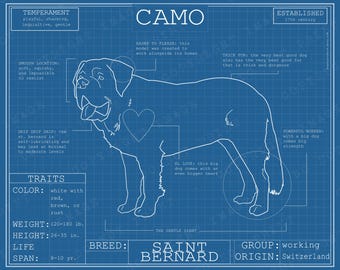 Saint Bernard Dog Breed Blueprint Custom Pet Portrait Poster Blue Print Canvas Wall Art Drawing Funny Portrait Print Animal Lover Gift