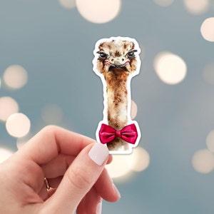 Ostrich Sticker - Die Cut Vinyl, Weather Proof, Water Resistant, Ostrich with Bow Tie, Funny Animal for Laptop, phone case water bottle