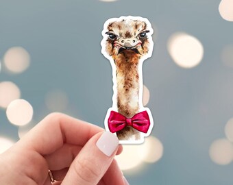 Ostrich Sticker - Die Cut Vinyl, Weather Proof, Water Resistant, Ostrich with Bow Tie, Funny Animal for Laptop, phone case water bottle