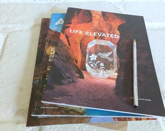 Vintage Lucite Bird and Flowers Paper weight