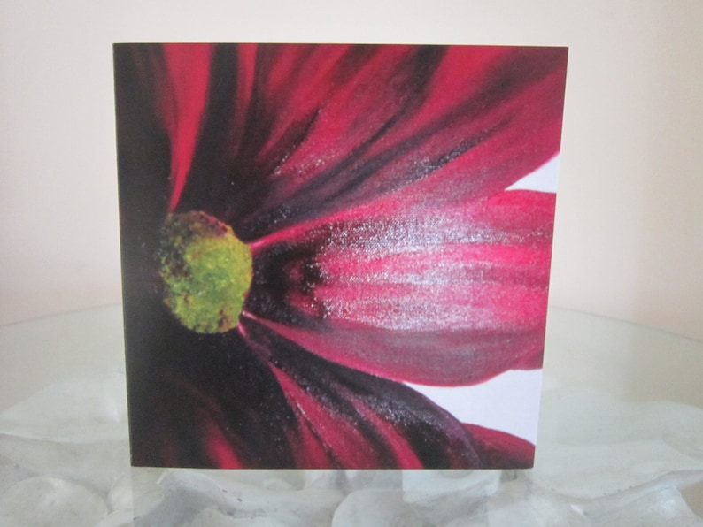 any occasion cards Set of 5 blank cards Flower cards birthday cards printed cards get well cards thank you cards sympathy cards