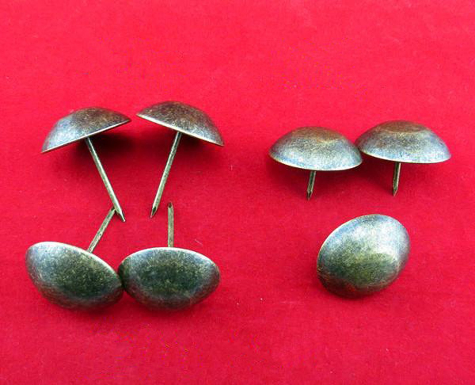 Einhell TE-VC 18 Li Aspiratore A Batteria - Senza Batteria, 0.54L, Power X-Change | Per Casa, Auto, Fai-da-Te - Foto 8