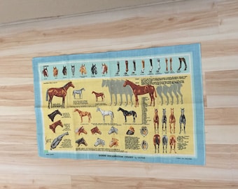 May include: A vintage horse information chart printed on a blue and yellow fabric. The chart features illustrations of horses, their legs, and their hooves. The text on the chart includes the words "Horse Information Chart" and "by Walter".