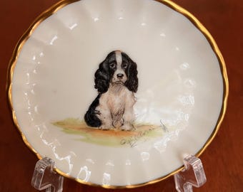 Cyril Gorainoff, Plato de baratijas Cyril Gorainoff Spaniel, Gorainoff Springer Spaniel, Plato de baratijas Cocker Spaniel