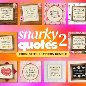 May include: A collection of ten cross stitch patterns featuring snarky quotes in various frames. The text includes phrases like 'But did you die?', 'How about no', and 'This is my cup of care. Oh look, it's empty.' displayed in decorative embroidery.