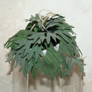Green plant, Platycerium-  Dollhouse miniature flowers - Artisan Handmade Miniature in 12th scale. From CosediunaltroMondo