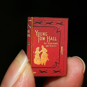 ROMANBUCH, NOV40 - PUPPENHAUS Miniaturen, Junger Tom Hall - Handwerkliche Miniatur im 12.Maßstab - CosediunaltroMondo Italy