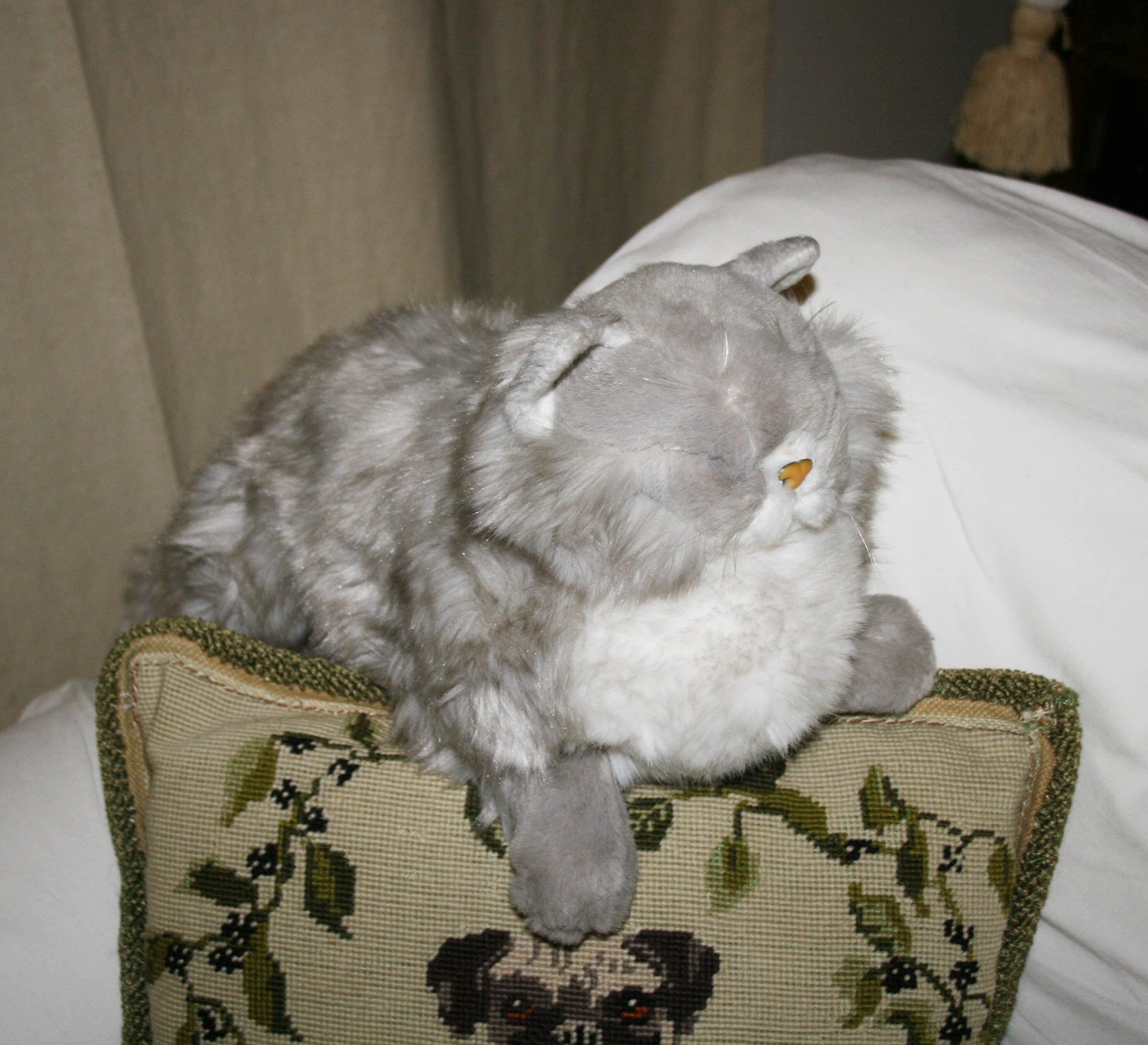 灰色の猫のぬいぐるみ、目を閉じた、動物のマジェスティペルシャタイプ