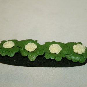 Può includere: Un modello in miniatura di una fila di quattro piante di cavolfiore con foglie verdi e teste di cavolfiore bianche. Le piante sono posizionate su una base di terra nera.