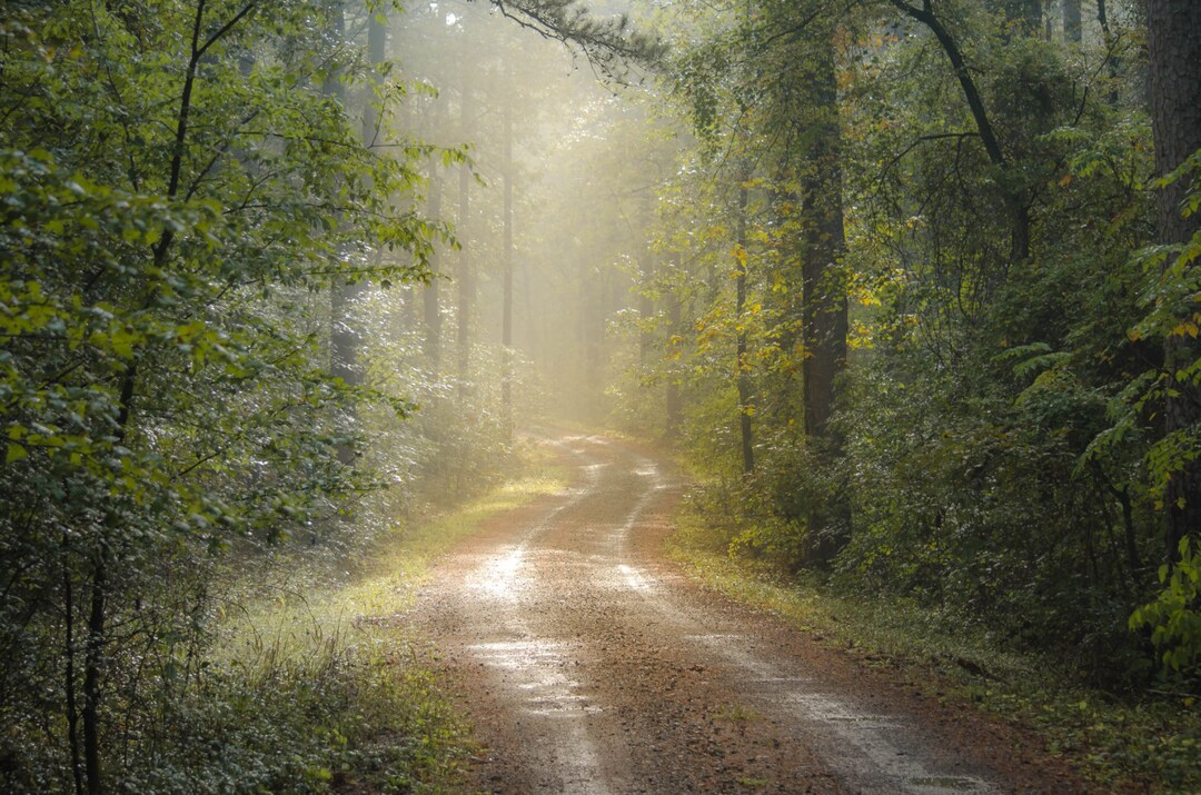 Red Bluff Drive, Fine Art Photography by Pitts Photography Etsy