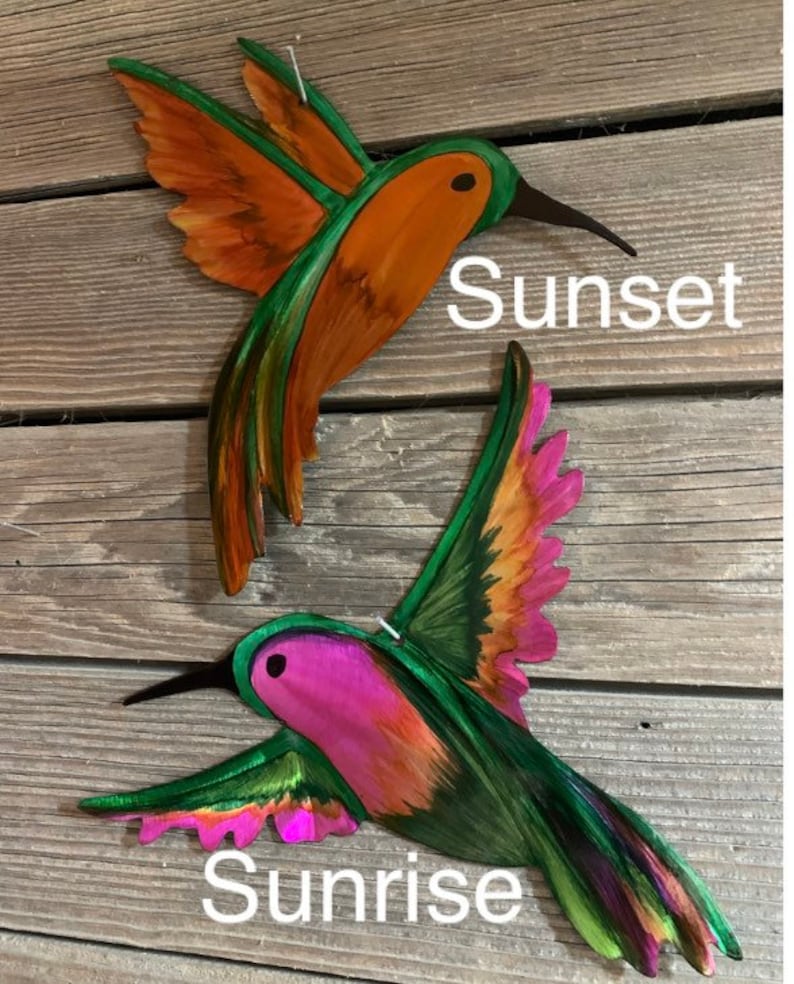 Hovering Sunset Hummingbird with blended orange and green colors. Inflight Sunrise hummingbird with pink, orange and green blended colors.