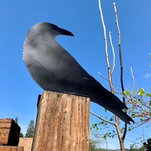 Raven/Crow/Blackbird/Post Topper/Black Powder Coated