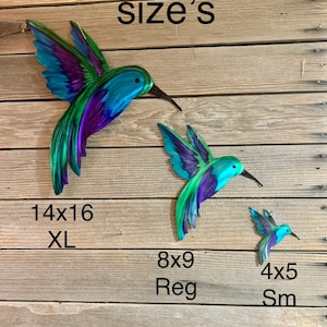 Approximate sizes of the hummingbird options.