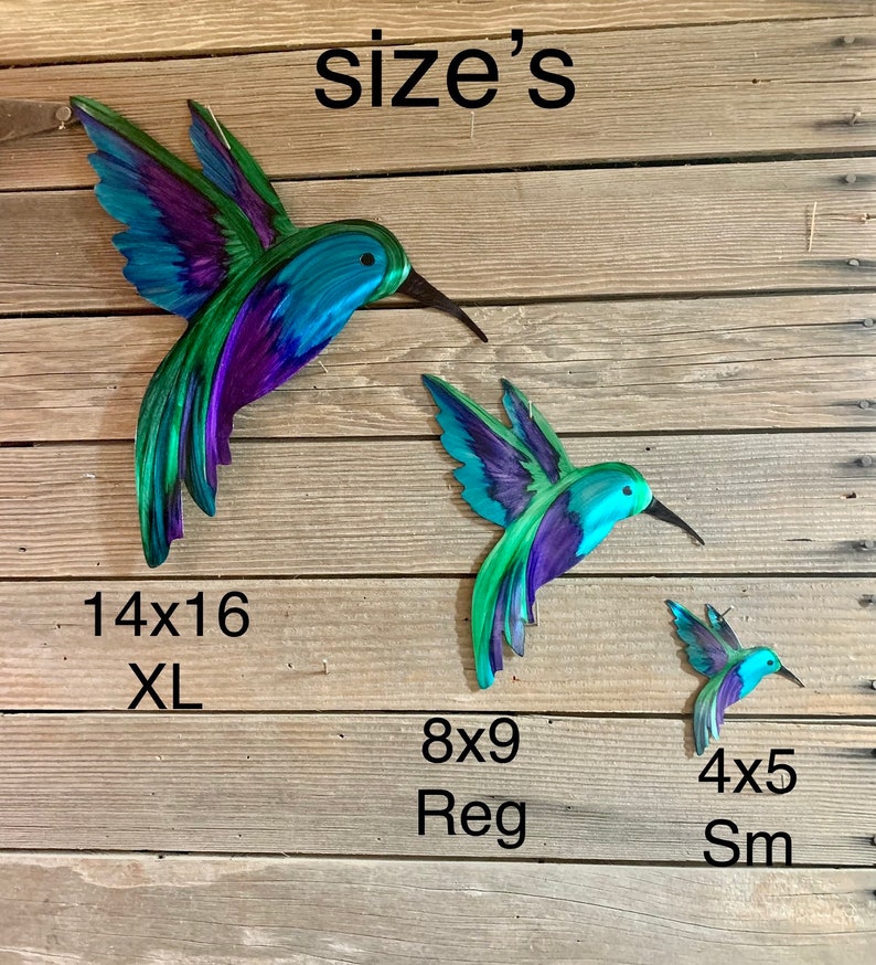 Approximate sizes of the hummingbird options.