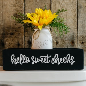 Hello Sweet Cheeks Jumbo Toilet Paper Holder, Farmhouse Bathroom Decor Jar & Sunflowers, Cute Bathroom Storage Box, Funny Toilet Box image 10