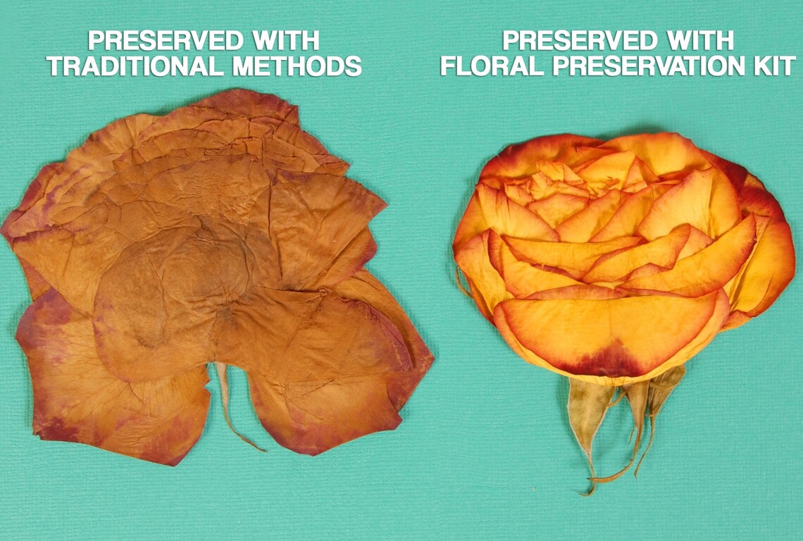 Floral Preservation Kit DIY Flower Preserving Kit for Photo Etsy