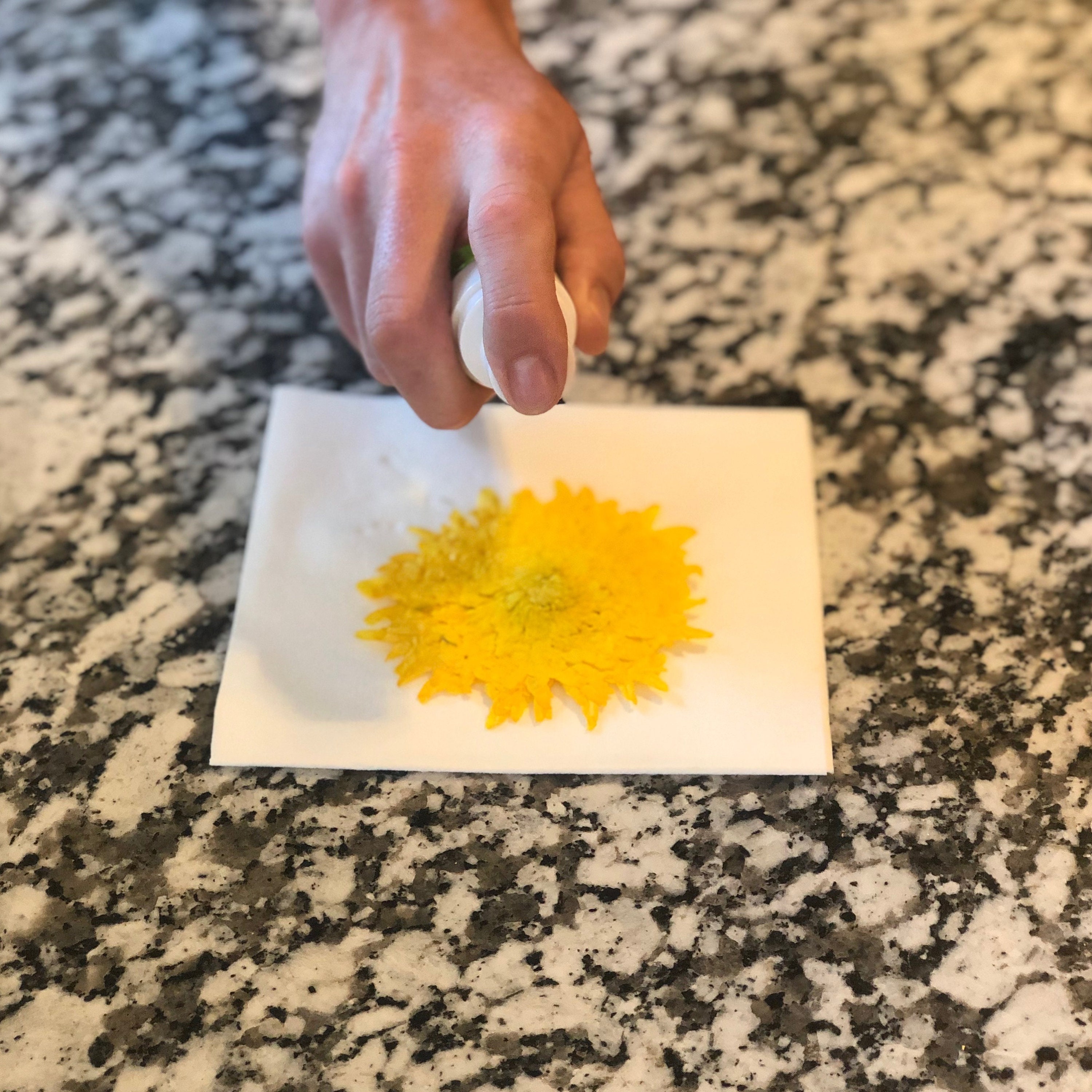 Floral Preservation Kit DIY Flower Preserving Kit for Photo Albums