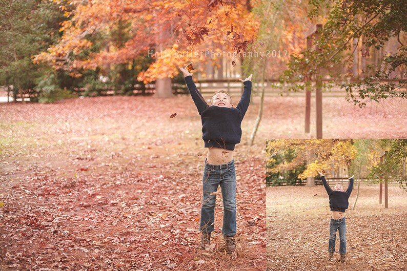 Falling Leaves Overlay Free Fall Colors Photoshop action PNG TIFF transparent files hbpcreate image 2