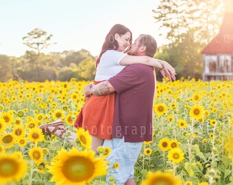 Photography Backgrounds | Barn Backgrounds | Sunflower Backgrounds | Wildflowers Backgrounds | HBPCreate | Holly Butler Photography