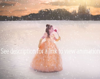 Animated Snow Photoshop Actions +  Snow Overlays | hbphotoactions