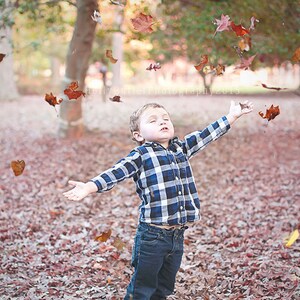 Falling Leaves Overlay Free Fall Colors Photoshop action PNG TIFF transparent files hbpcreate image 1