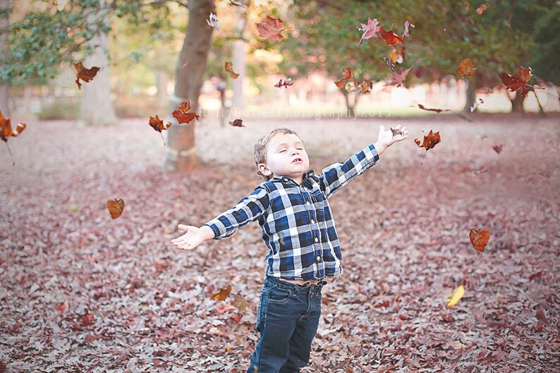 Falling Leaves Overlay Free Fall Colors Photoshop action PNG TIFF transparent files hbpcreate image 1