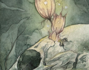 Three of Pentacles- Tarot Art Print, Watercolor Art Print, Fantasy Art, Skull Painting, Animal Skull Art, Seed Pod Art, Mystical Nature Art