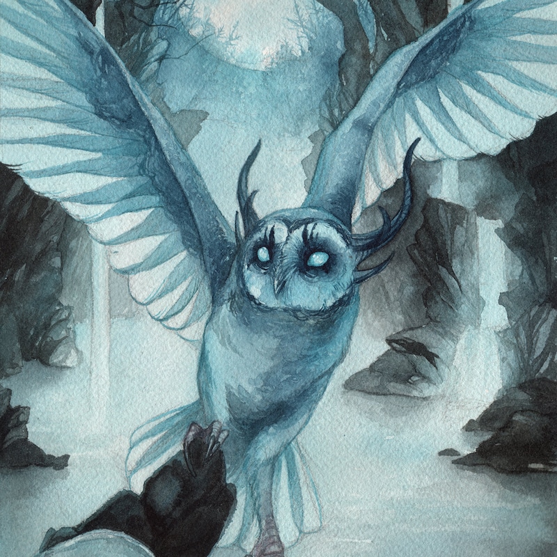 Bird Oracle Cards - Etsy