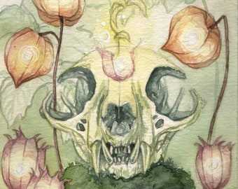 Nine of Pentacles- Tarot Art Print, Watercolor Art Print, Animal Skull Art, Seed Pod Art, Mystical Nature Art, Fantasy Art, Skull Painting