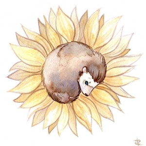 Hedgehog Sunflower- Blank Greeting Card, Cute Cards For Friends, Funny Cards, Animal Art, Creature Art, Cute Animal Card