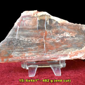 PETRIFIED PALM Fossil Slabs * Good Cabbing Lapidary Cutting Rough or Display Specimen * Choose EXACT Slab from 10 * California